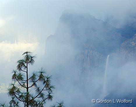 Foggy Yosemite Valley_22864.jpg - Photographed in Yosemite National Park, California, USA.